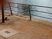 bilder/galerie/sommer23/innenhafen 22062023 (4).jpg